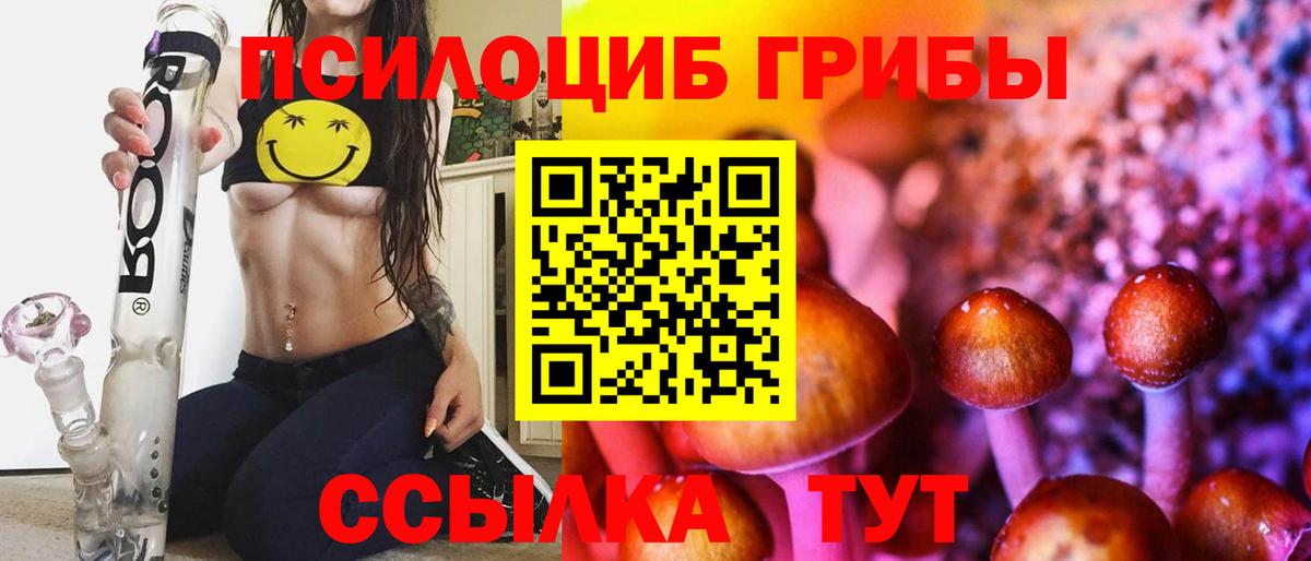 Псилоцибиновые грибы Psilocybine cubensis  Псилоцибиновые грибы мицелий  Вход с VPN  Пятигорск 