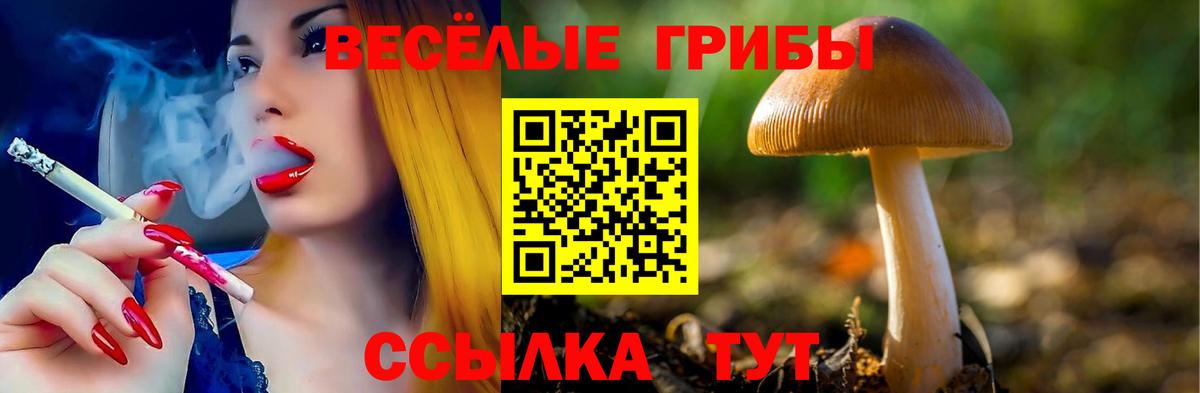 Галлюциногенные грибы Magic Shrooms Пятигорск